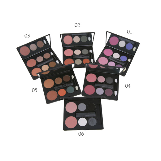 Combo Compact (4 Eye shadow 2 blush)